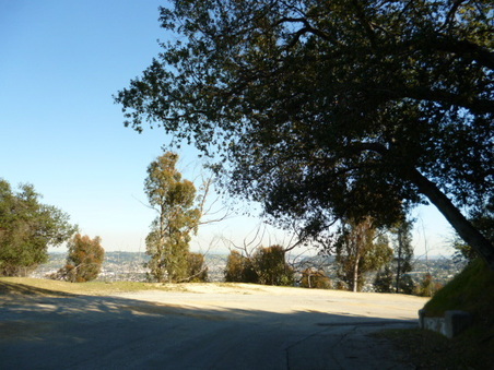 Enlarge photo 93