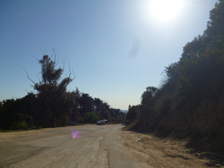 Enlarge photo 95