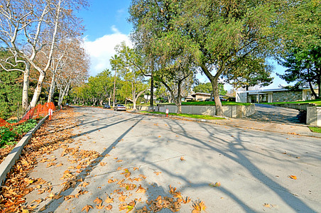 Enlarge photo 91