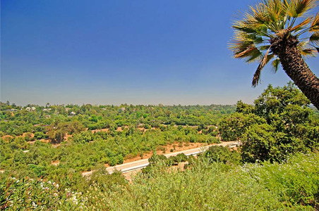 Enlarge photo 46