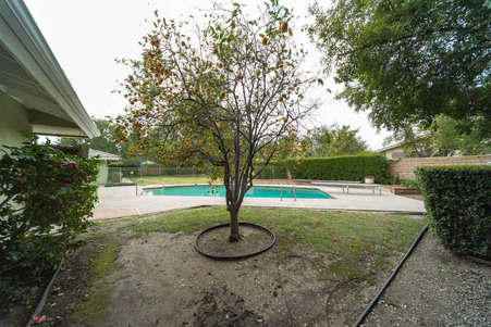 Enlarge photo 54
