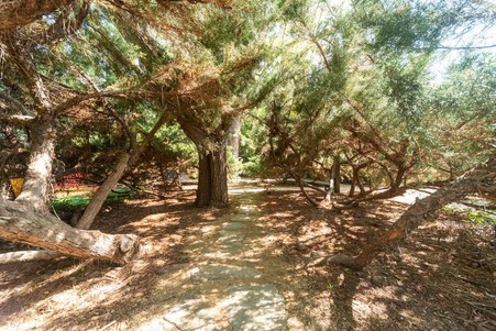 Enlarge photo 88