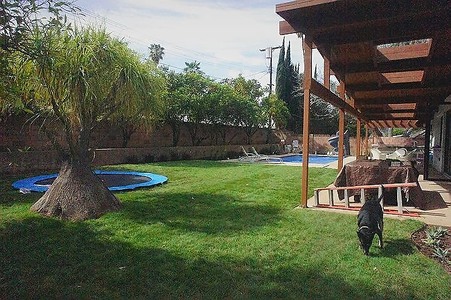 Enlarge photo 73