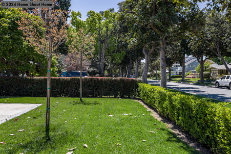 Enlarge photo 116