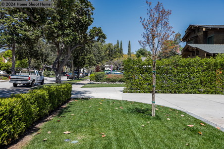 Enlarge photo 117