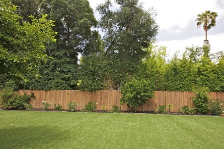 Enlarge photo 97
