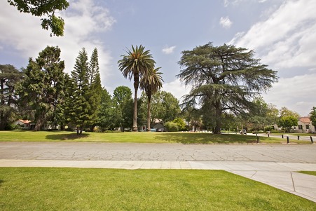 Enlarge photo 105