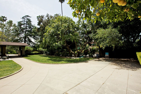 Enlarge photo 120