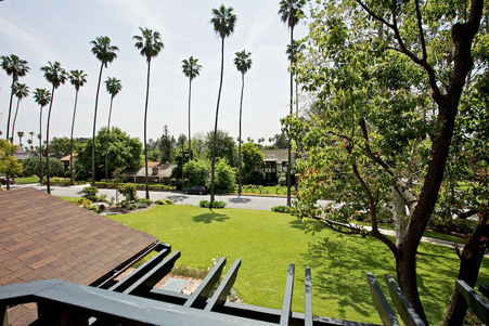 Enlarge photo 135