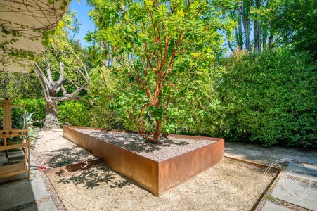 Enlarge photo 63