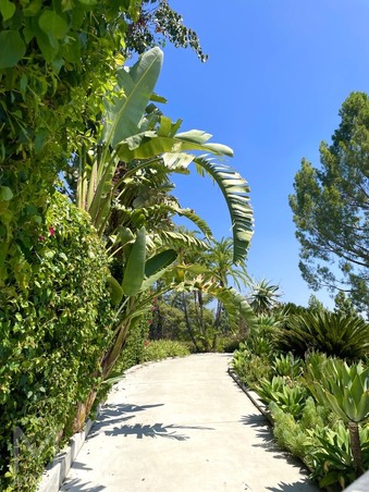 Enlarge photo 12