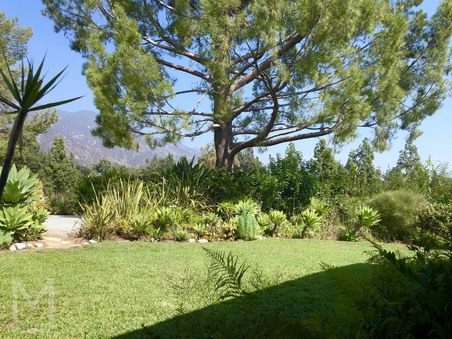 Enlarge photo 62