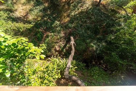 Enlarge photo 86