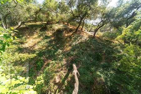 Enlarge photo 87