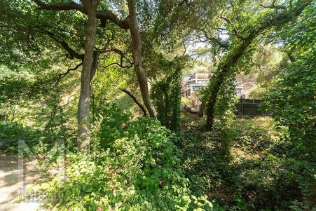 Enlarge photo 93
