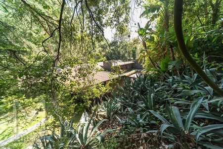 Enlarge photo 106
