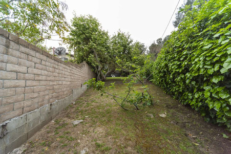 Enlarge photo 56