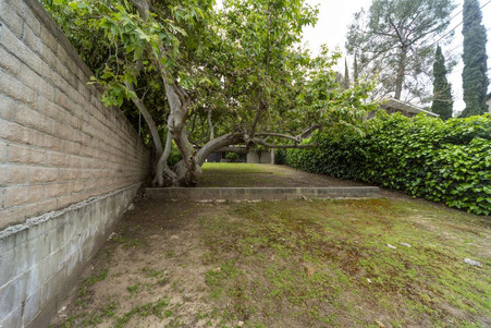 Enlarge photo 57