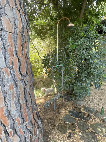 Enlarge photo 102