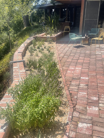 Enlarge photo 149