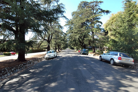 Enlarge photo 53
