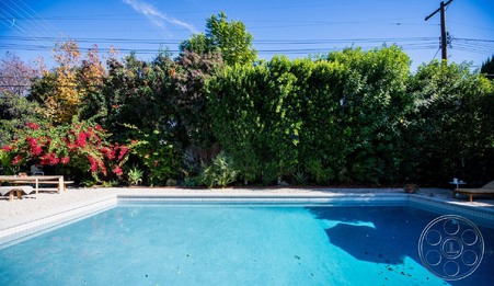 Enlarge photo 57