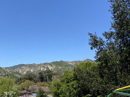 Enlarge photo 41