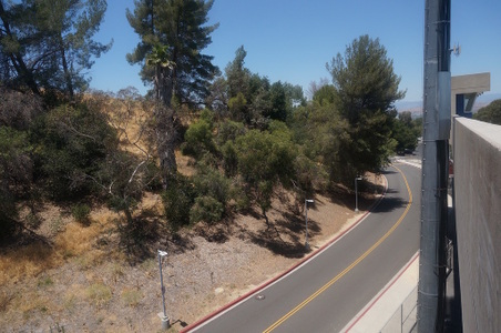 Enlarge photo 46
