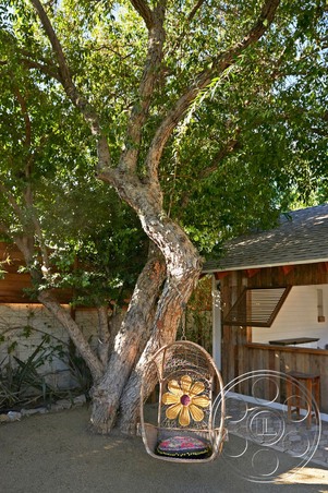 Enlarge photo 25