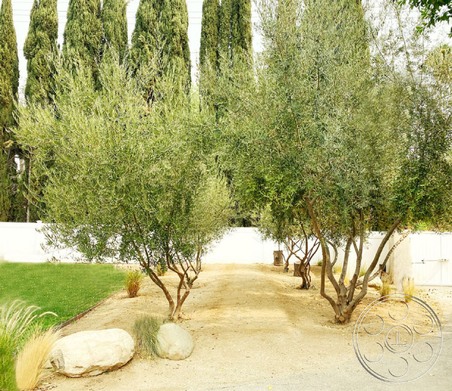 Enlarge photo 57