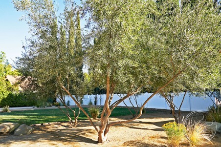 Enlarge photo 64