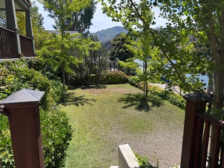 Enlarge photo 53