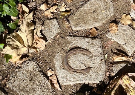 Enlarge photo 53