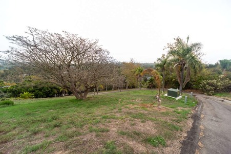 Enlarge photo 180