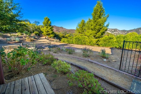 Enlarge photo 81