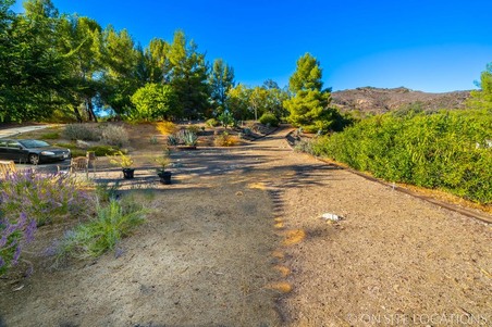 Enlarge photo 83