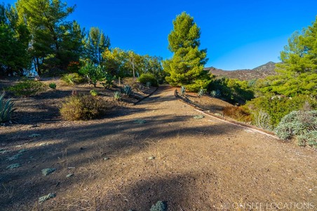 Enlarge photo 86