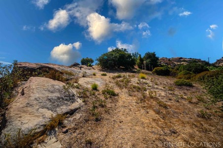 Enlarge photo 162