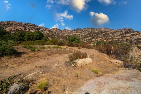 Enlarge photo 163
