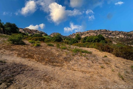 Enlarge photo 164