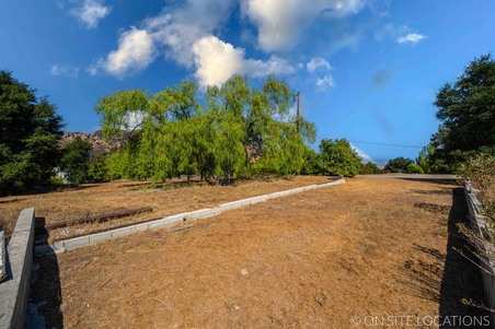 Enlarge photo 176