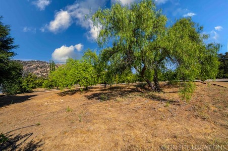 Enlarge photo 177