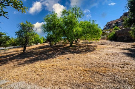 Enlarge photo 180