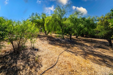 Enlarge photo 181