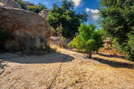 Enlarge photo 182