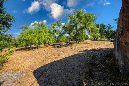 Enlarge photo 183