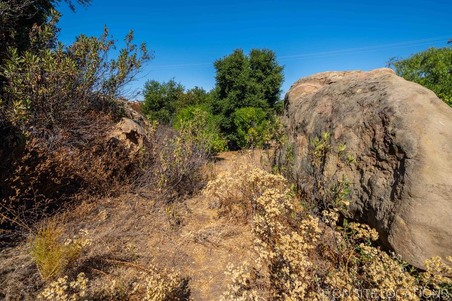 Enlarge photo 185