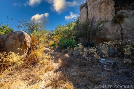 Enlarge photo 186