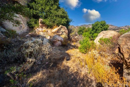 Enlarge photo 187
