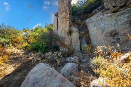 Enlarge photo 189